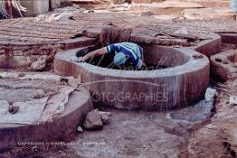 Image du Maroc Professionnelle de  Marrakech est renommé par sa maroquinerie, cette ville touristique du Maroc dispose de plusieurs tanneries qui sont isolé des souks de la ville, le quartier des tanneurs est un endroit pittoresque où on découvre les secrets de la technique de travail du cuir exécuté par les familles locales depuis des générations, Mercredi 18 Août 1982. (Photo / Abdeljalil Bounhar) 